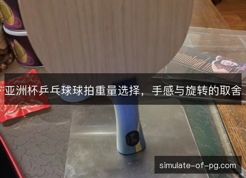 亚洲杯乒乓球球拍重量选择，手感与旋转的取舍